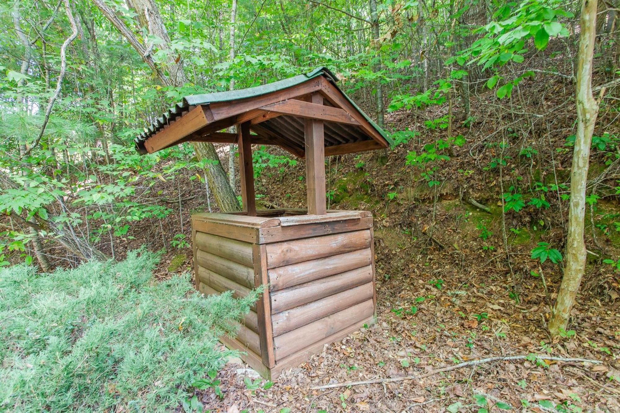 Firefly Way Bryson City Exterior foto
